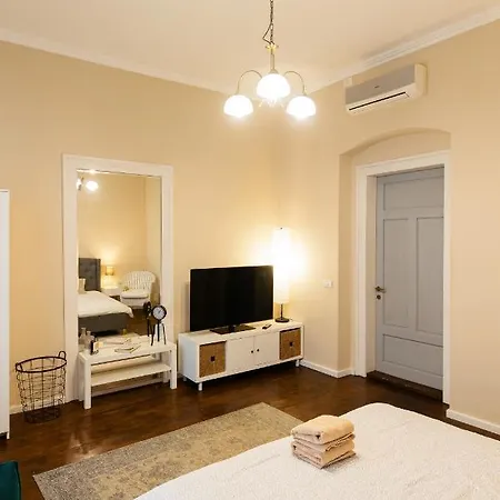 Lovely In Historical Center Wifi * Timişoara