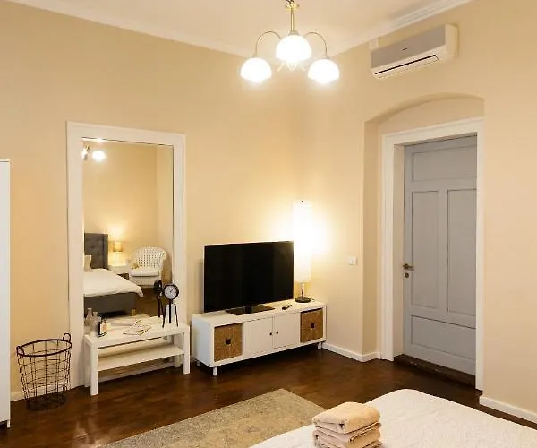 Lovely In Historical Center Wifi * Тимишоара