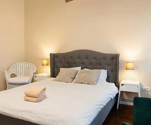 Lovely In Historical Center Wifi * Timişoara